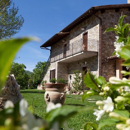 Вілла Relais Parco Del Subasio Piano Delle Pieve Екстер'єр фото
