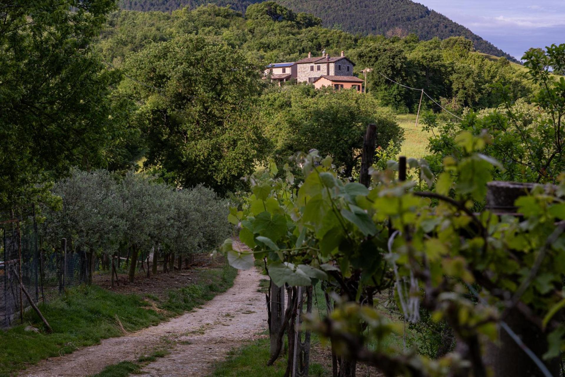 Вілла Relais Parco Del Subasio Piano Delle Pieve Екстер'єр фото