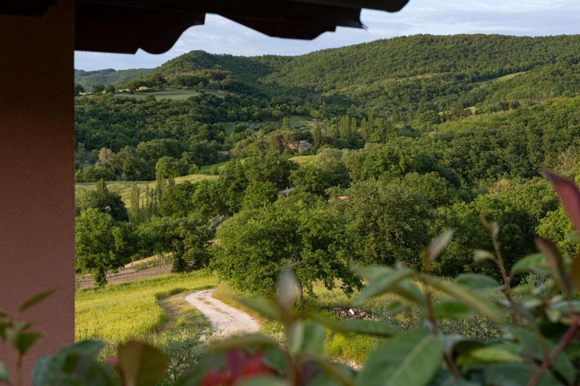 Вілла Relais Parco Del Subasio Piano Delle Pieve Екстер'єр фото